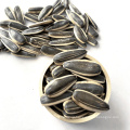 Raw Sunflower Seeds from Inner Mongolia